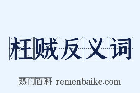 枉贼反义词是什么意思的图片